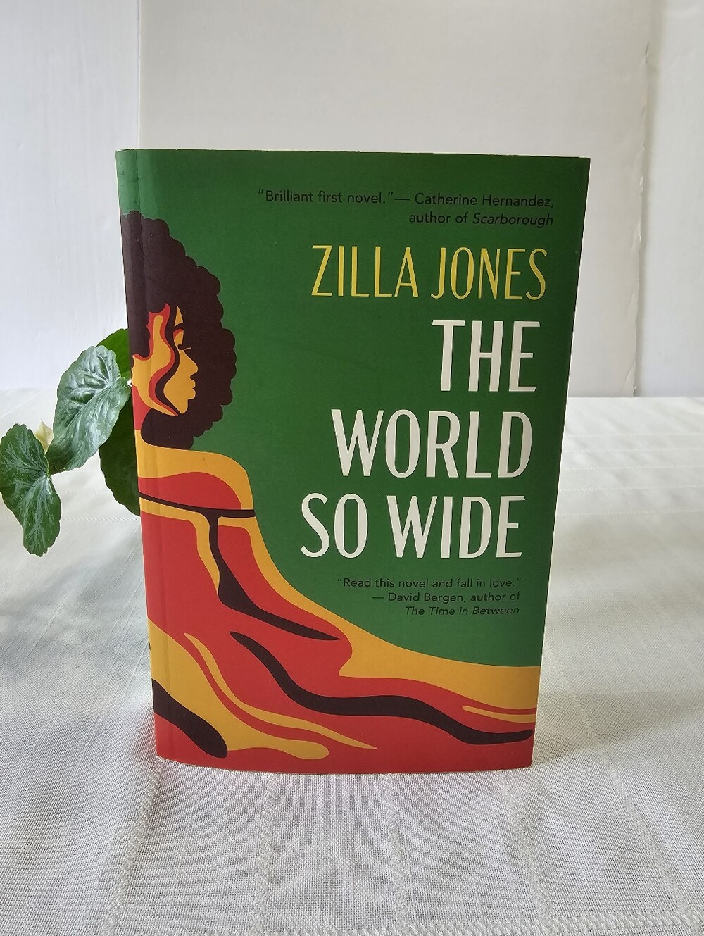 Zilla Jones - The World So Wide